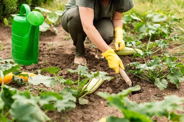 4 Avantages que le jardinage peut vous offrir