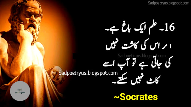 socrates-quotes-in-urdu