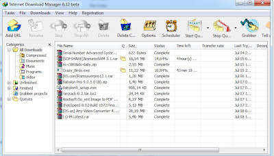 Internet Download Manager