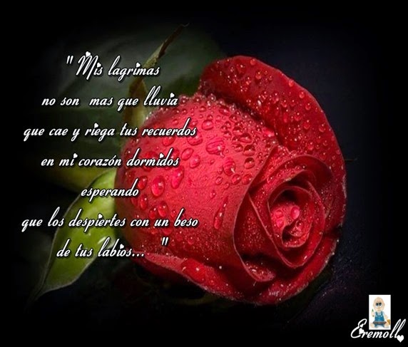 eremoll- (6)