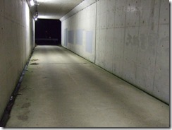 DSCF1413