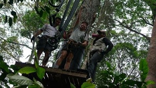 Skytrex Extreme Challenge: Waltzing up the Tree Tops