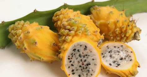Caraka Purwo Wibisono Mengenal manfaat dan khasiat buah 
