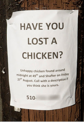 Funniest Lost And Found Pet Signs Seen On  lolpicturegallery.blogspot.com