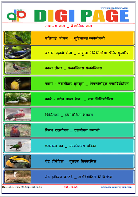  DP | Common Name_Scientific Name | 03 -Sep-16 