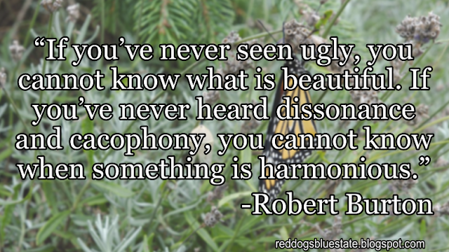 “If you’ve never seen ugly, you cannot know what is beautiful. If you’ve never heard dissonance and cacophony, you cannot know when something is harmonious.” -Robert Burton