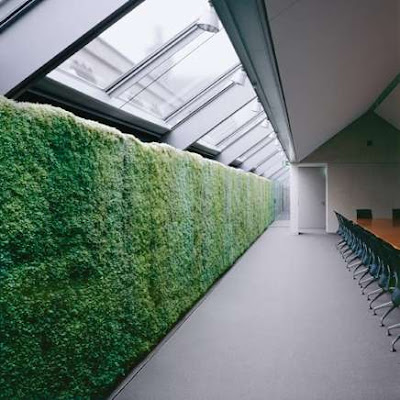 Green wall - Indoor Landscaping (5) 1
