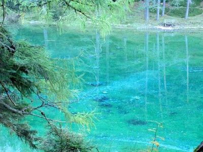 Beautiful Underwater Meadow