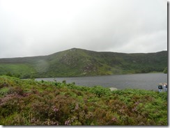 Bus Tour Wicklow Mountains