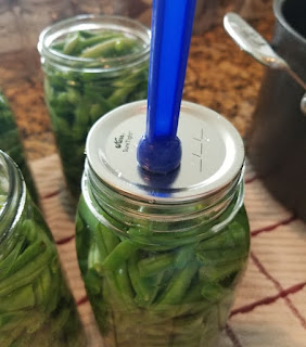 canning green beans