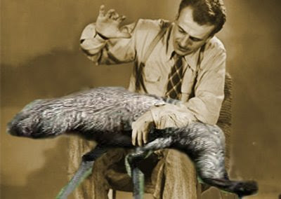 spanking emu