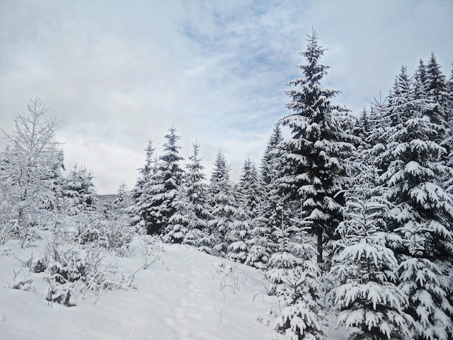 Winter in Bukovel Зимний Буковель