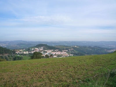 P1060897