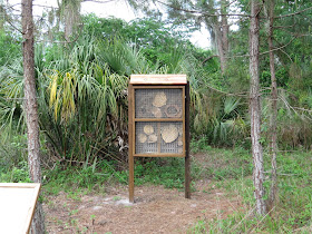 Felts Audubon Preserve, Florida