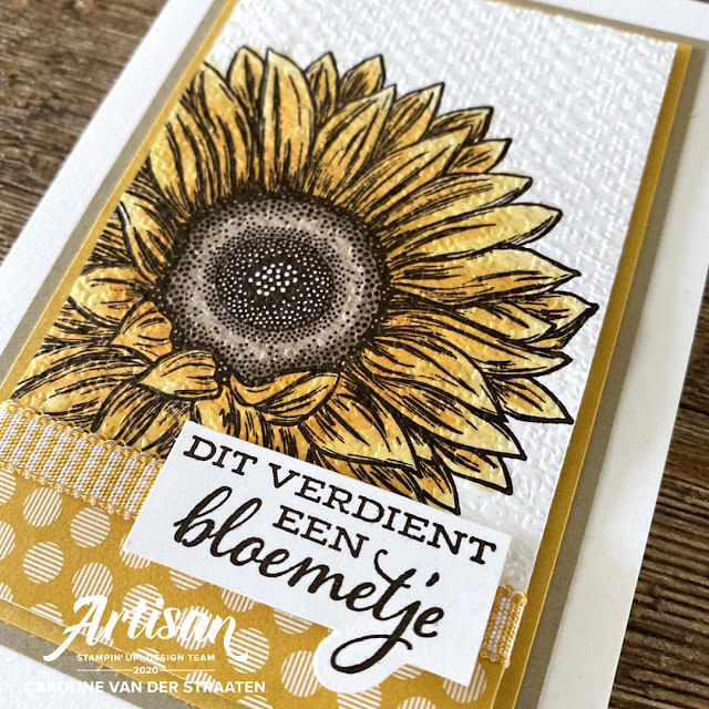 Bijzondere Zonnebloemen kaarten cadeau set - Celebrate Sunflowers gift box - Stampin' Up! - Artisan Design Team - Caro's Kaartjes