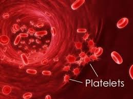 Dengue Recovery Diet Dengue Recovery Diet