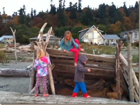 Maxwelton beach 045