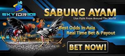 Situs Daftar Judi Sabung Ayam Online SV388 (sv288) Teraman