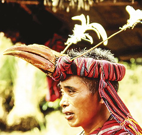 Ifugao headgear with kalaw beak