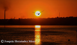 http://hernandezmena.blogspot.com/2014/04/motivos-contra-luz.html