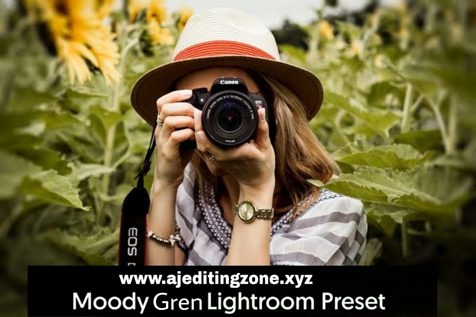 Green Preset Lightroom Moody Green Preset -Download and Enhance Your Photography