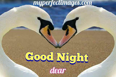 good night photos free download