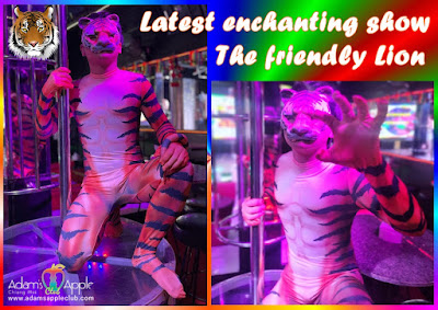 Latest enchanting show The friendly Lion Gay Bar CNX Thailand