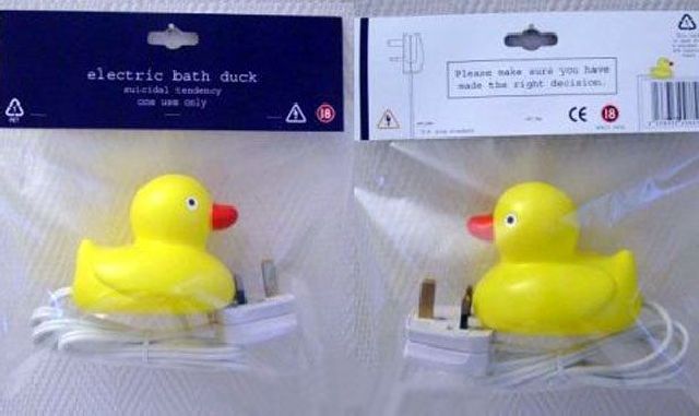 Electric bath duck