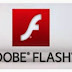 Download Adobe Flash Player 13 Offline Installer