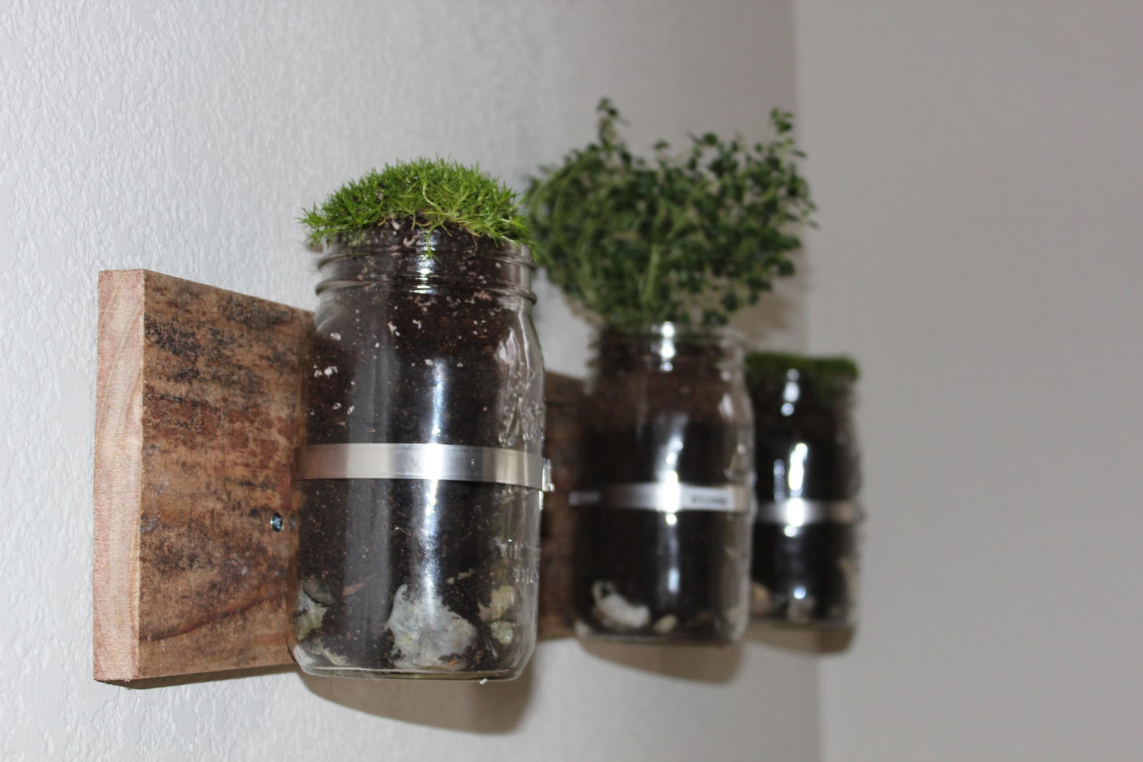 Nic and Knack: D.I.Y Wall Planter with Mason Jars