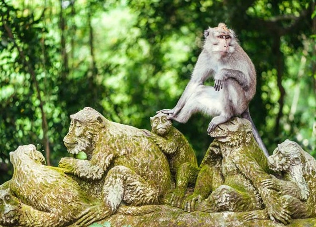 merupakan tujuan utama turis abnormal yang tiba untuk berlibur TEMPAT WISATA DI BALI