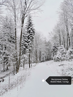 Magurski Park Narodowy, zima, Beskid Niski