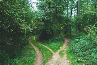 Crossroads - Photo by Jens Lelie on Unsplash