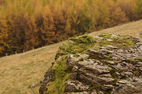 Haweswater Lake District in Autumn