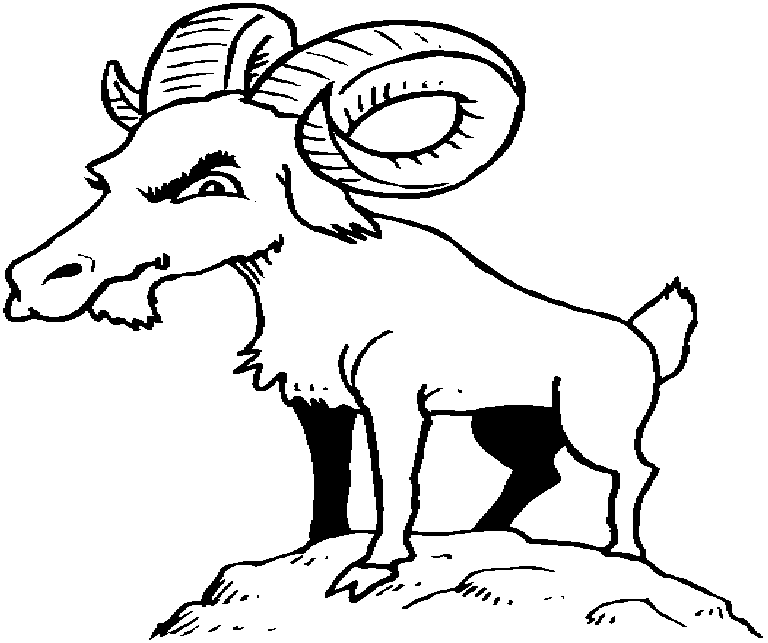 Desenhos de Cabras para Colorir
