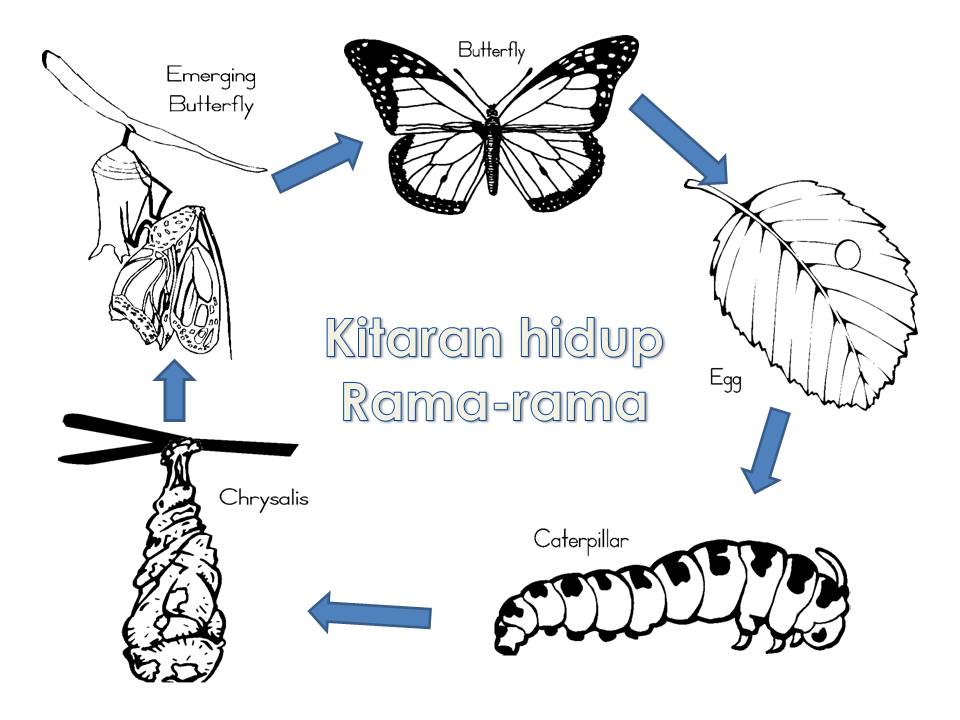 PRASEKOLAH CIKGU SARIFAH: Tema serangga