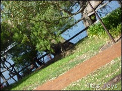 P1010524