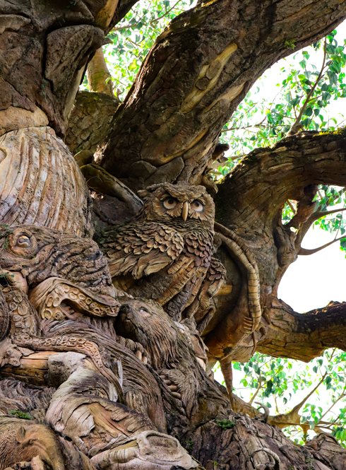 Tree of Life Park Icon Animal Kingdom WDW