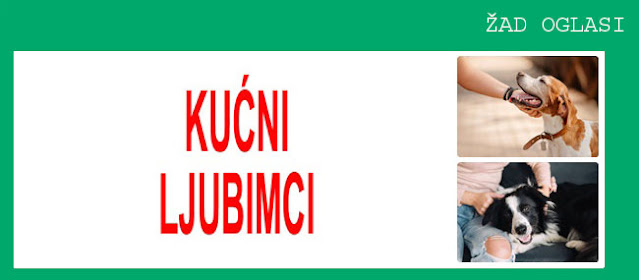 9. - KUĆNI LJUBIMCI NA ŽAD OGLASIMA