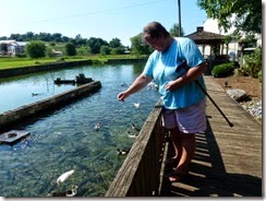 Gin feeding the fish and ducks