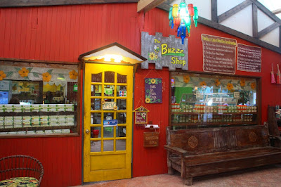 The Buzzz Shop in Bohol Bee Farm