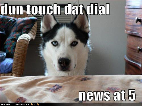 Funny Weightlifting Dogs happy birthday funny dog. Funny Weightlifting Dogs