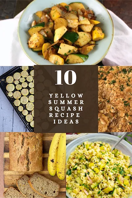 Collage of yellow summer squash recipes.