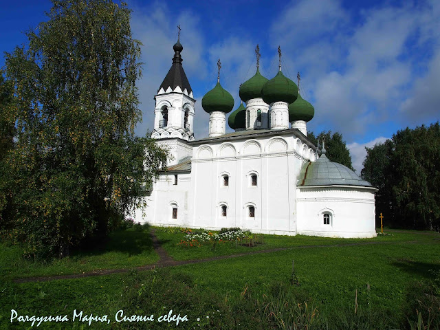 Словно в лесу...