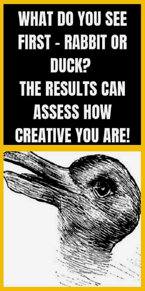What Do You See First – Rabbit Or Duck? The Results Can Assess How Creative You Are!