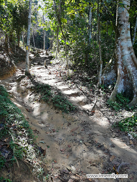 Hiking @ Bukit Putih (Ah Pek Hill Trail)