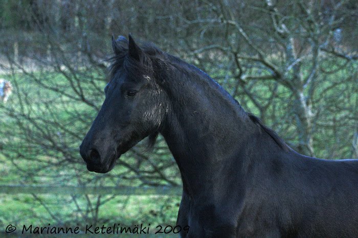 Gerrit's Blog