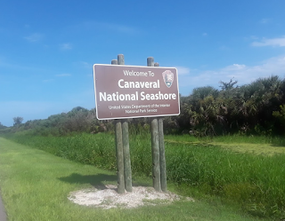 Canaveral National Seashore Playalinda Beach Florida East Coast Surf Fishing