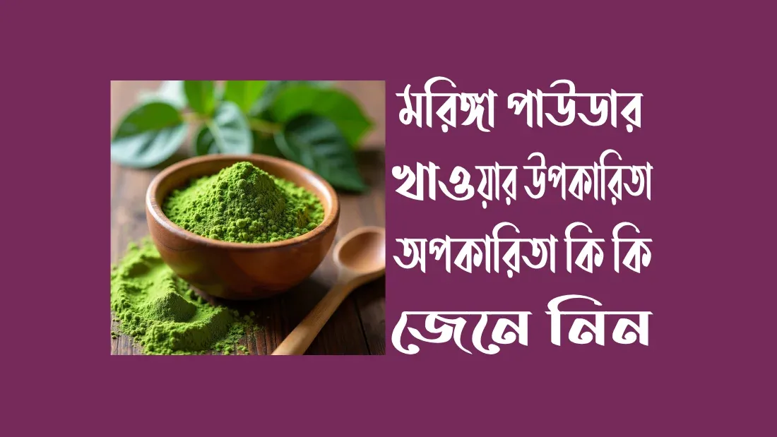 মরিঙ্গা-পাউডার-এর-উপকারিতা