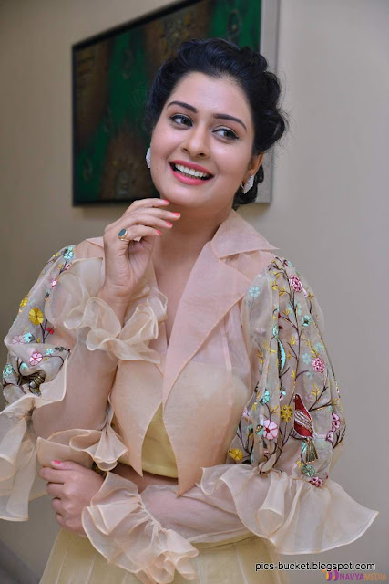 Actress payal rajput hot photos